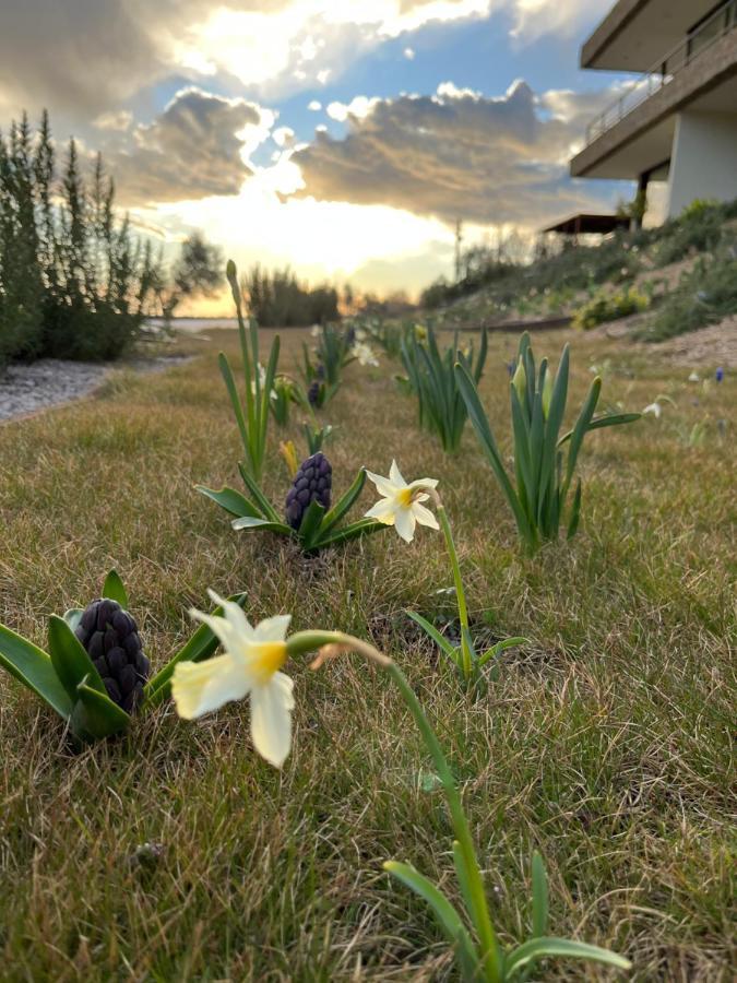 Monte Piccolo B&B Buje Bagian luar foto